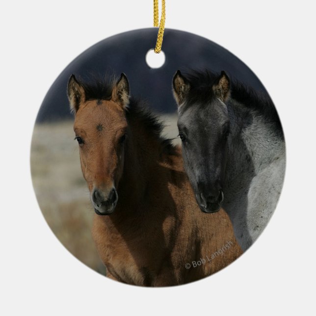 Mustang Foal Headshot Ceramic Ornament (Front)