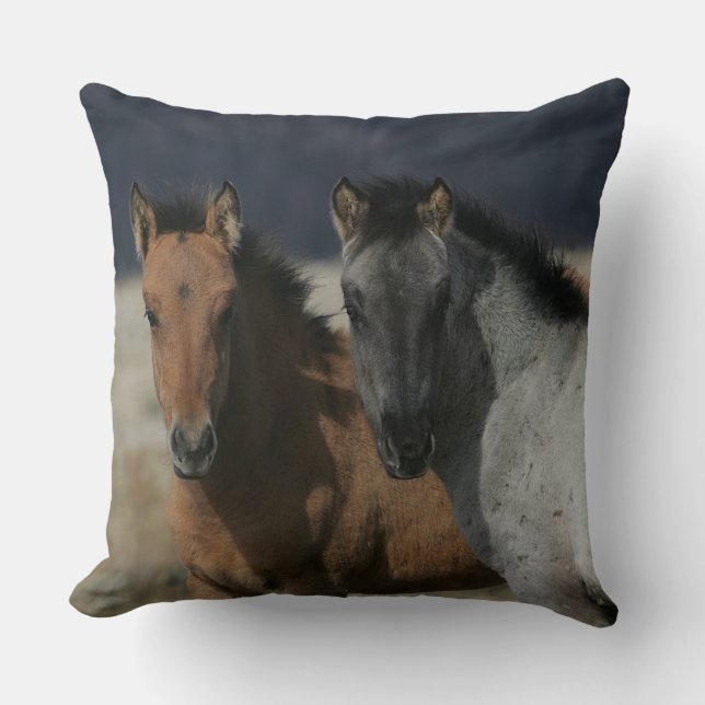 Mustang Foal Headshot Cushion (Front)