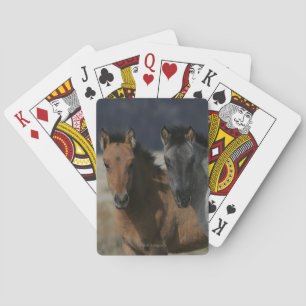 Mustang Foal Headshot Playing Cards