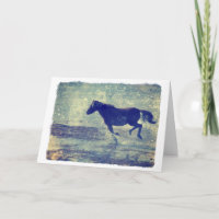 Mustang Gallop on Beach, Birthday