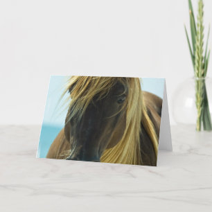 Mustang Greeting Card