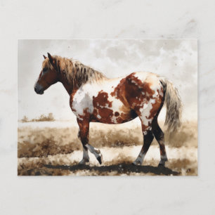 Mustang Horse Painting Postcard