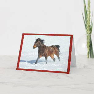 Mustang Horse Running Snow Seasons Greetings Card