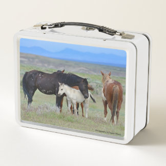 Mustang Lunch Box