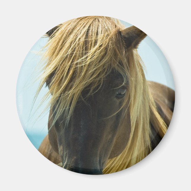 Mustang Magnet (Front)