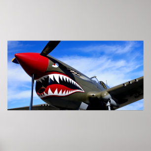 MUSTANG P-51 FIGHTER POSTER
