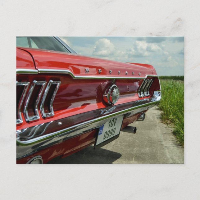Mustang postcard (Front)