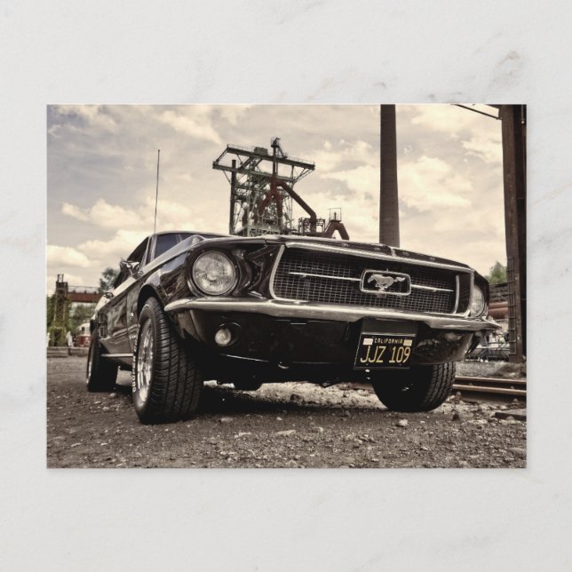 Mustang postcard (Front)
