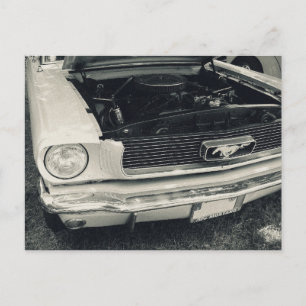 Mustang postcard