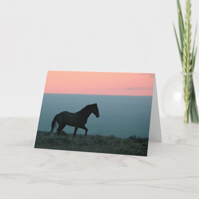 Mustang Stallion at Sunset Greeting Card (Front)