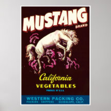Mustang Wild Horse Guadalupe California Vegetables