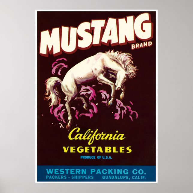 Mustang Wild Horse Guadalupe California Vegetables Poster (Front)