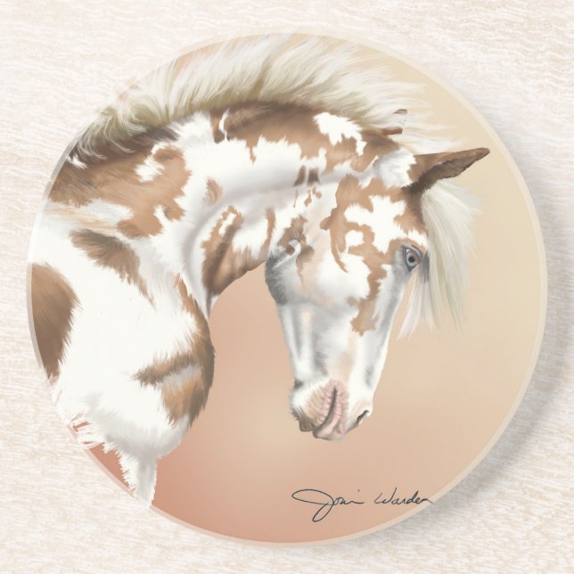 Mustang Wild Xtend Coaster (Front)