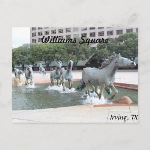 Mustangs of Las Colinas # 21 Postcard