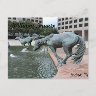 Mustangs of Las Colinas # 28 Postcard