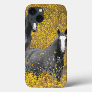Mustard and Horses iPhone 13 Case