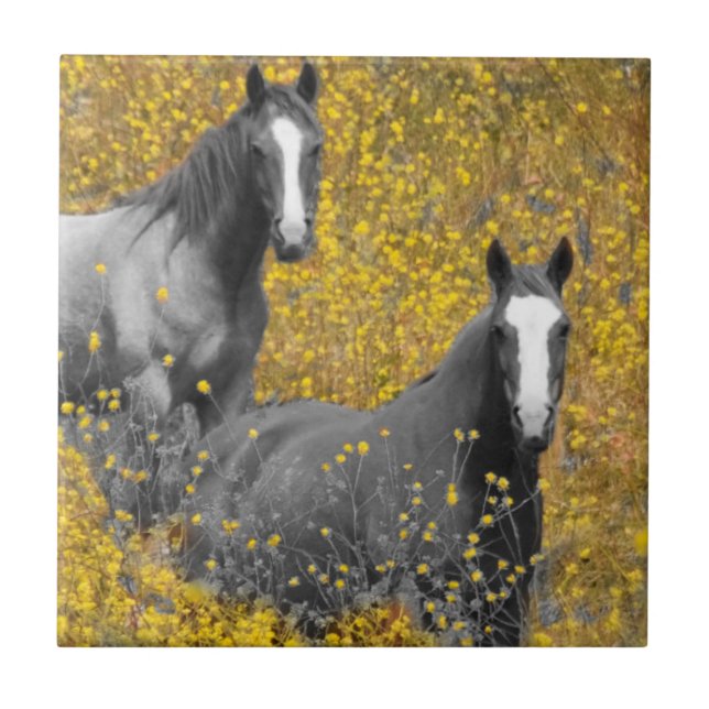 Mustard and Horses Ceramic Tile (Front)