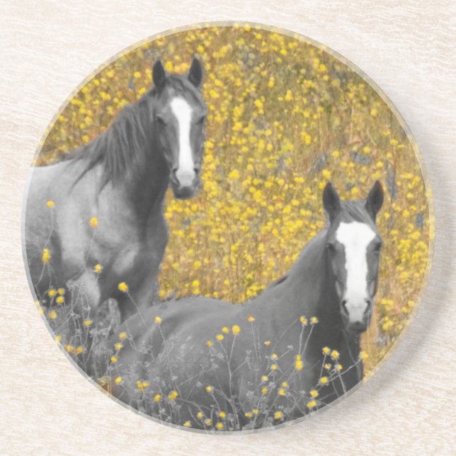 Mustard and Horses Coaster (Front)