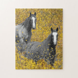 Mustard and Horses Jigsaw Puzzle