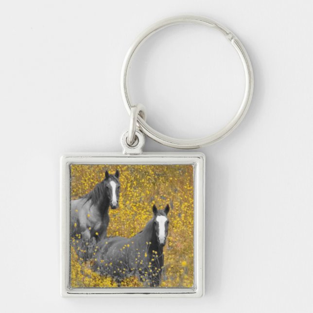 Mustard and Horses Key Ring (Front)