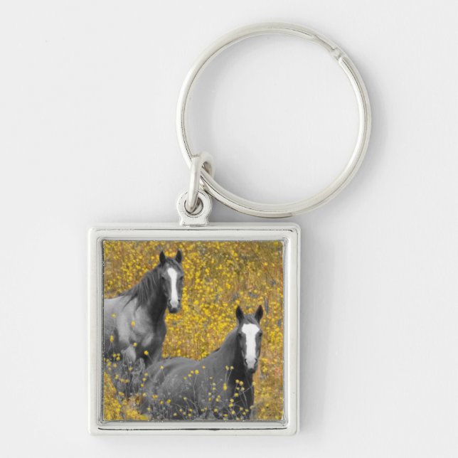 Mustard and Horses Key Ring (Front)