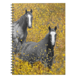 Mustard and Horses Notebook