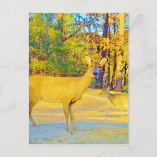 Musturd Coloured Deer with light blue Postcard