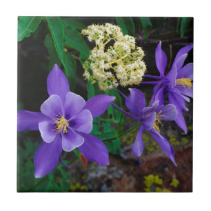 Mutant Columbine Wildflowers Ceramic Tile