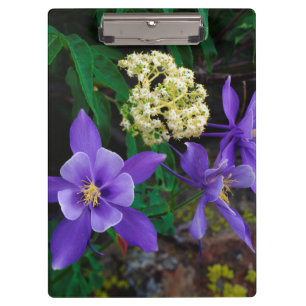 Mutant Columbine Wildflowers Clipboard
