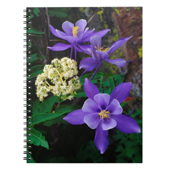 Mutant Columbine Wildflowers Notebook (Front)