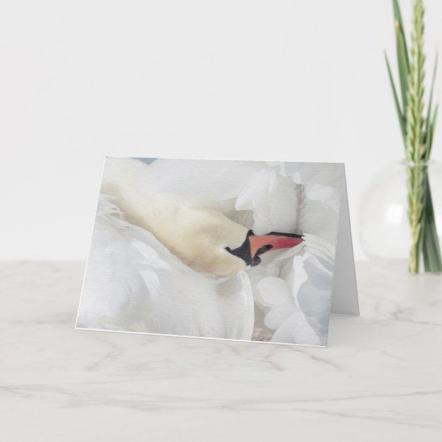 Mute Swan Blank Note Card (Front)
