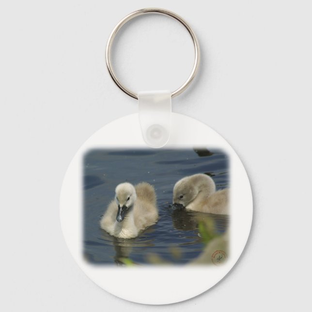 Mute Swan Cygnets 9R054D-114 Key Ring (Front)