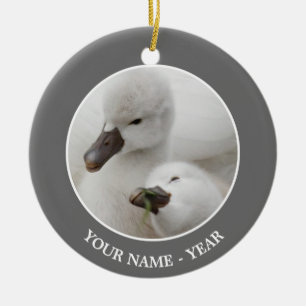 Mute Swan Cygnets Ceramic Tree Decoration