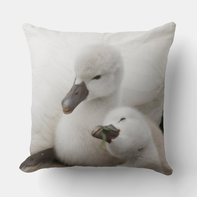 Mute Swan Cygnets Cushion (Front)