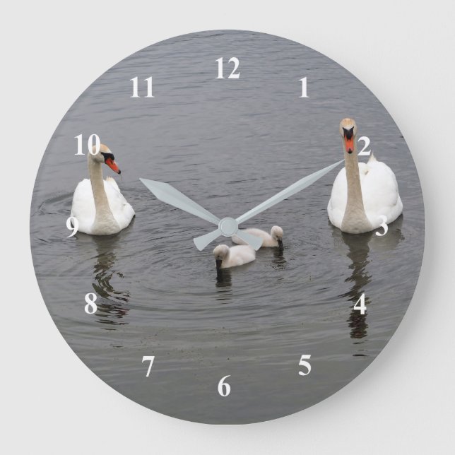 Mute Swan Cygnets Water Photo Large Clock (Front)
