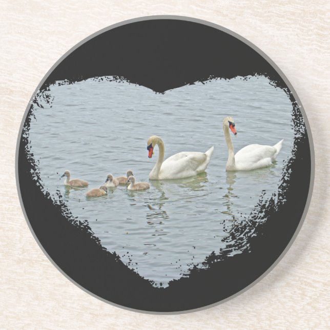 Mute Swan Famly Coaster (Front)