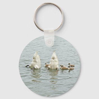 Mute Swan Famly Key Ring