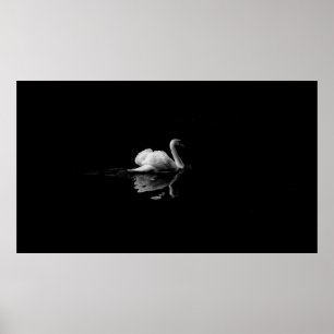 MUTE SWAN IN LOW LIGHT PHOTOGRAPHY POSTER