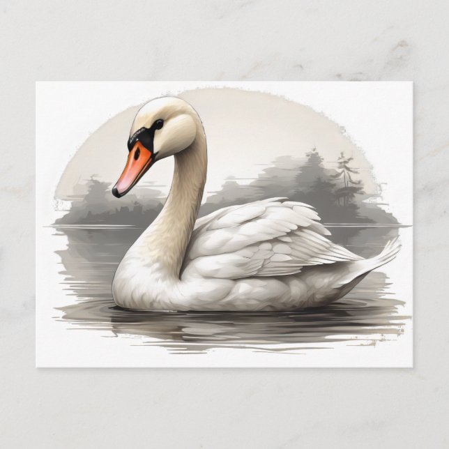 Mute swan in water postcard (Front)