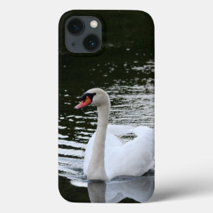 Mute Swan iPhone Cases