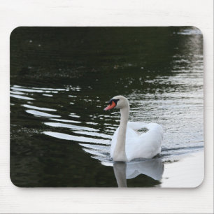 Mute Swan Mouse Pad
