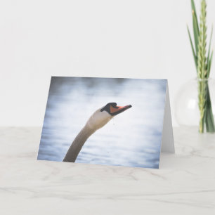 Mute Swan Nature Photo Portrait Card