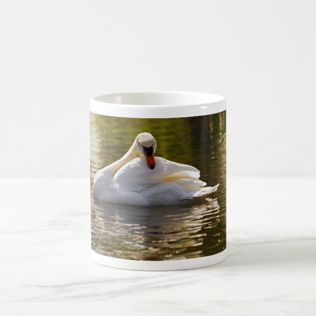Mute swan on water coffee mug (Center)