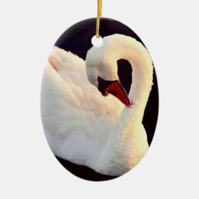 Mute Swan Ornament (Front)