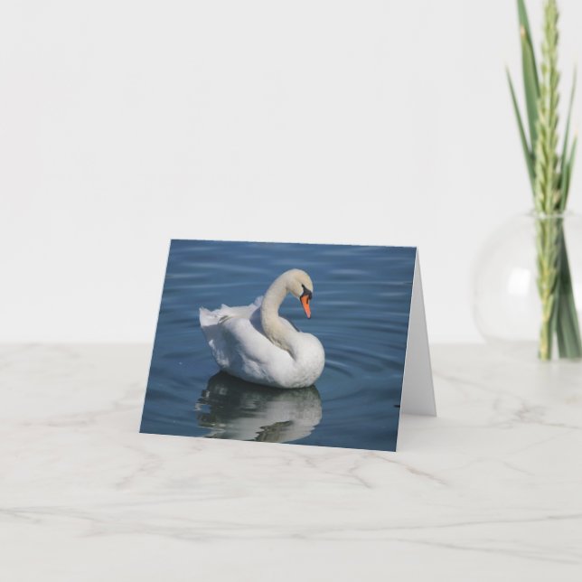 Mute Swan Photo Folded Note Card (Front)