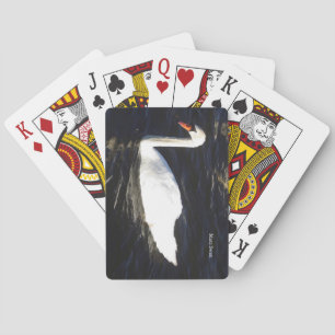 Mute Swan playing cards