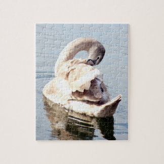 Mute Swan Preening Jigsaw Puzzle