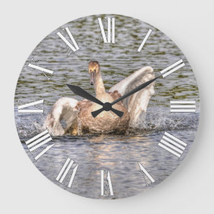 Mute Swan Wildlife Waterfowl Photo Large Clock