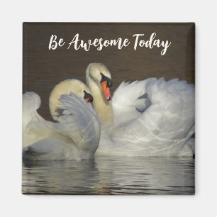 Mute Swans - Be Awesome Today Magnet