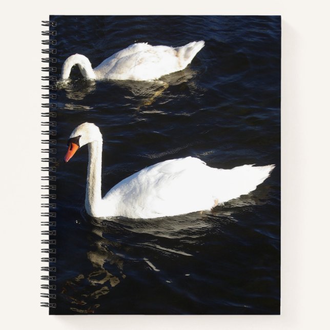 Mute Swans notebook (Front)